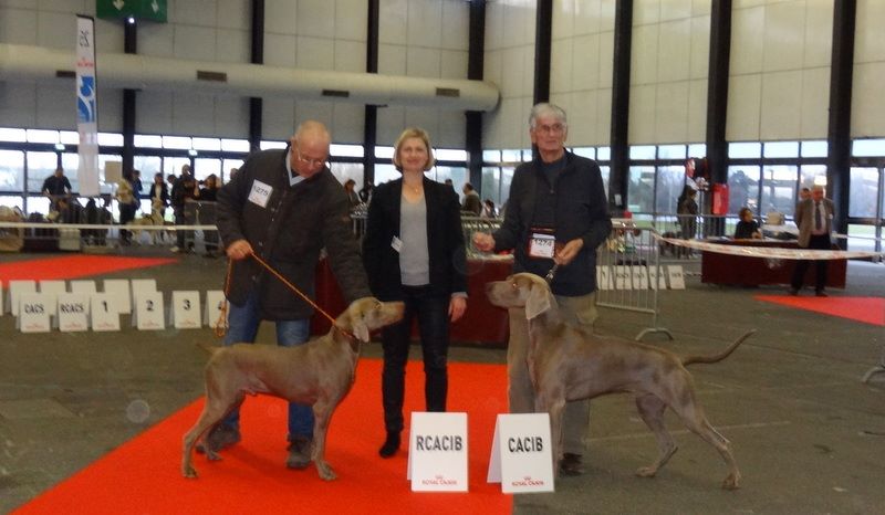 MARWEI A  L'EXPOSITION DE BORDEAUX 2018